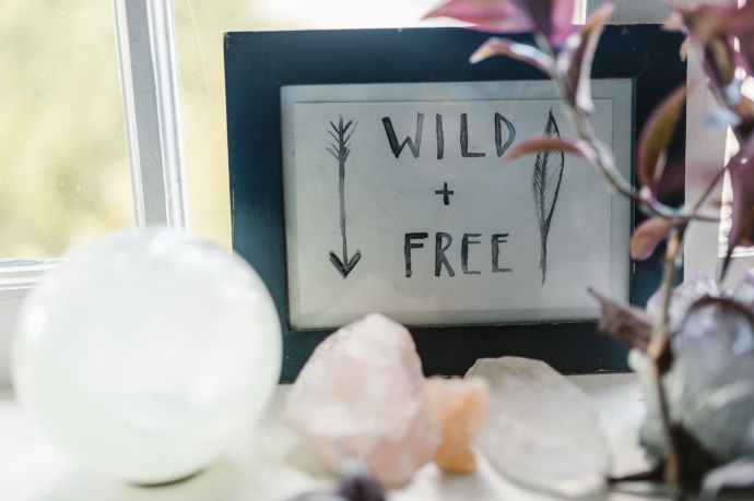 food nature love people