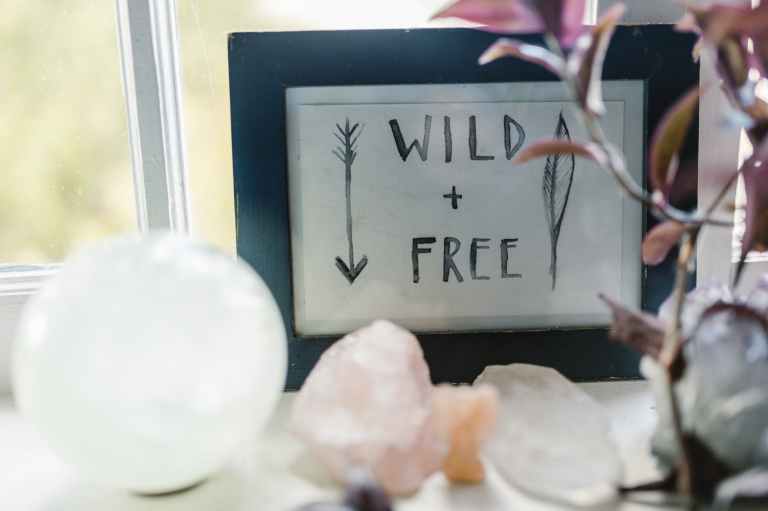 food nature love people